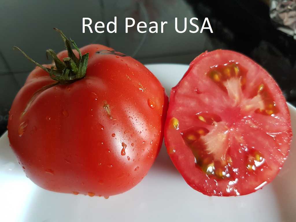 Red Pear